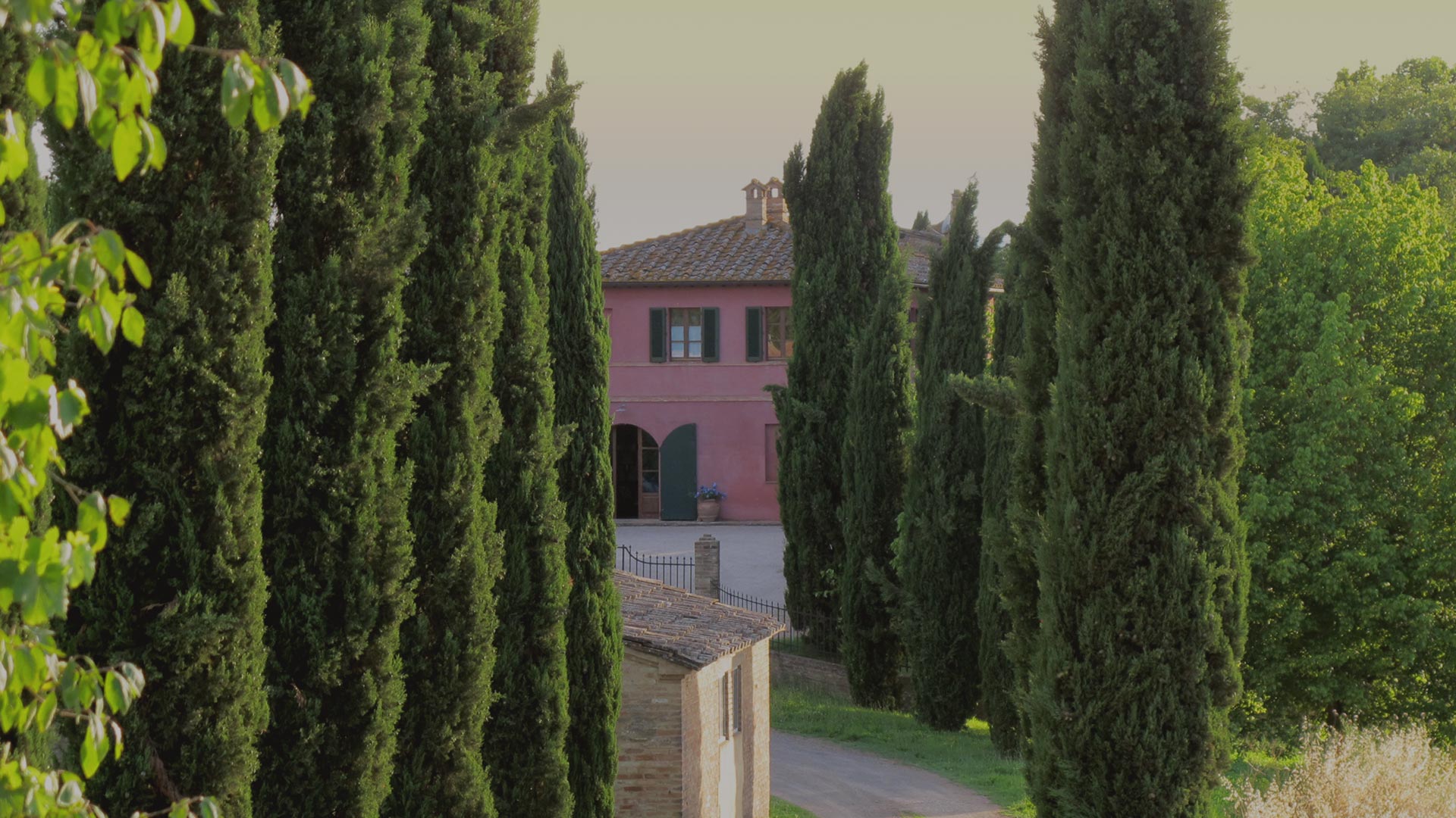 head_sienadream_giu-01